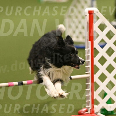 Frenzy-Robert-Rachow-10010