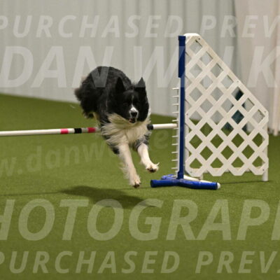 Frenzy-Robert-Rachow-10012