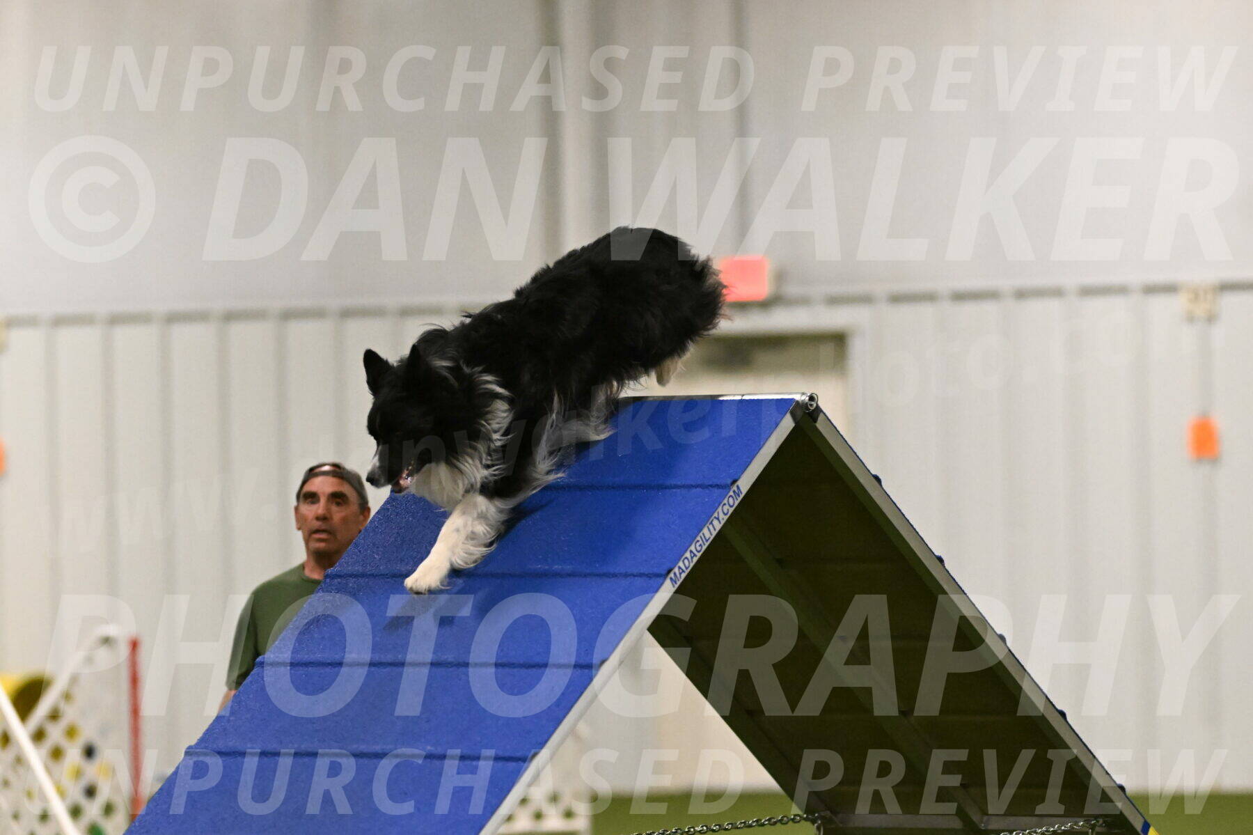 Frenzy-Robert-Rachow-10015