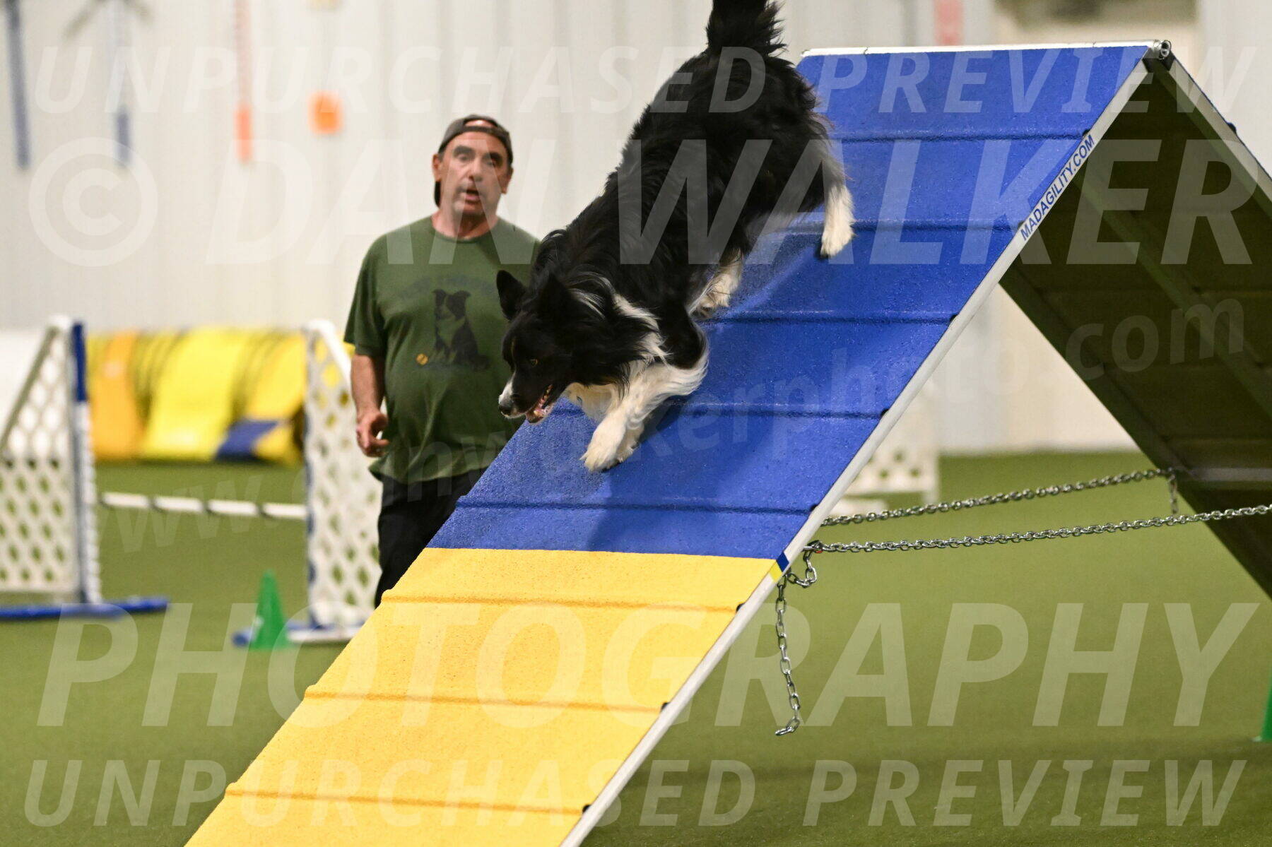 Frenzy-Robert-Rachow-10016