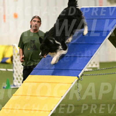 Frenzy-Robert-Rachow-10016