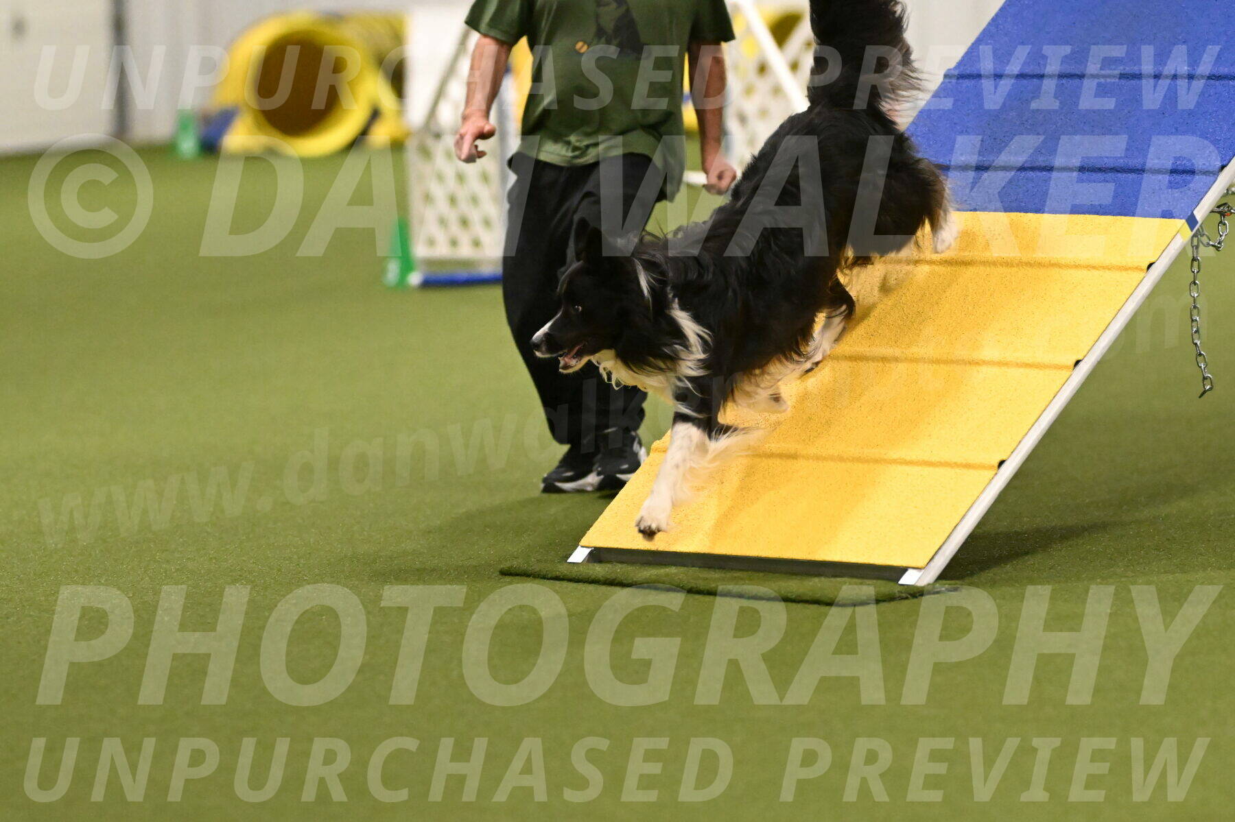 Frenzy-Robert-Rachow-10017