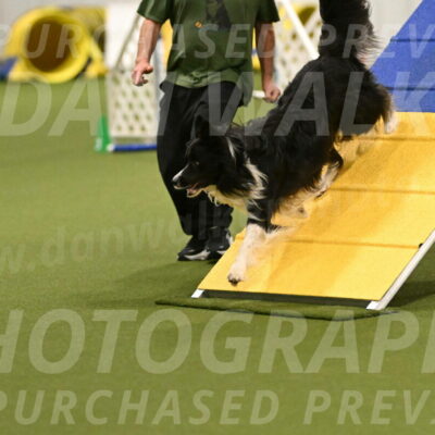 Frenzy-Robert-Rachow-10017