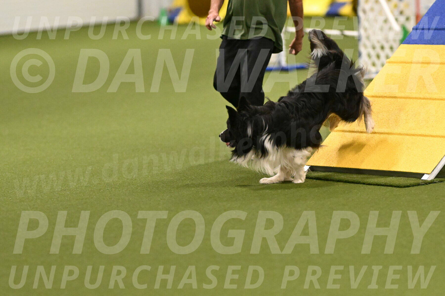 Frenzy-Robert-Rachow-10018