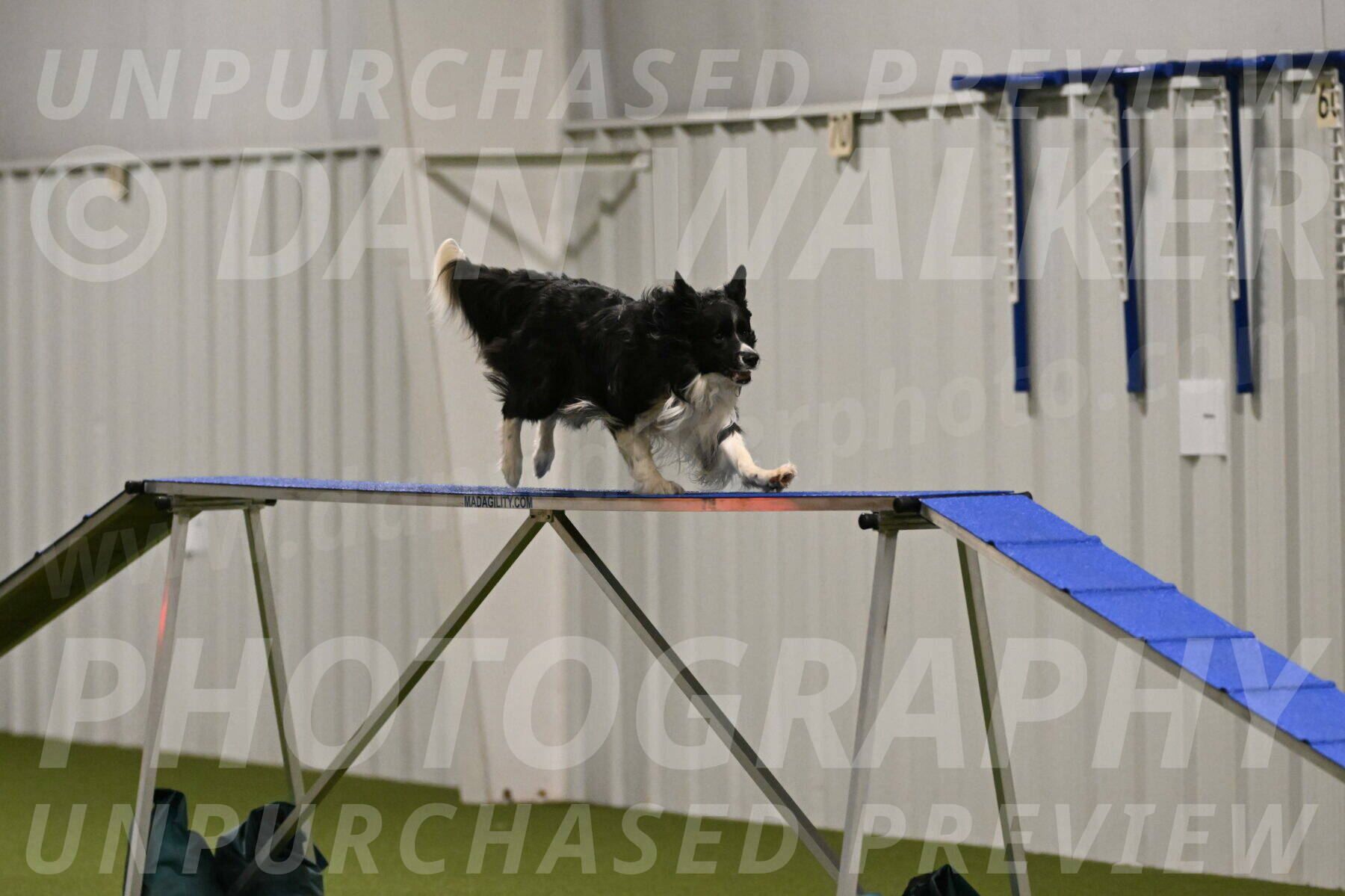 Frenzy-Robert-Rachow-10021