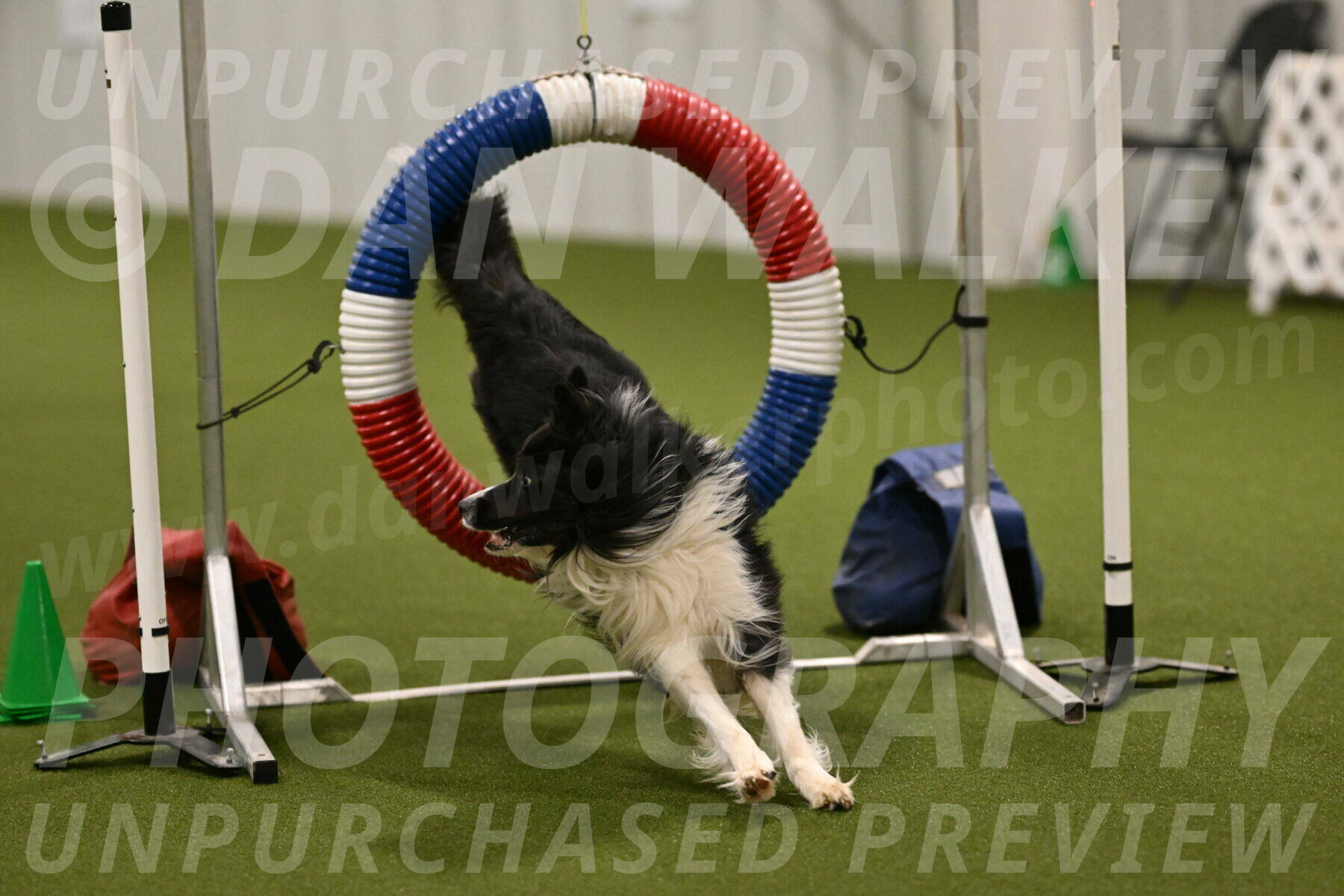 Frenzy-Robert-Rachow-10026