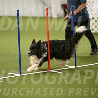 Frenzy-Robert-Rachow-10030