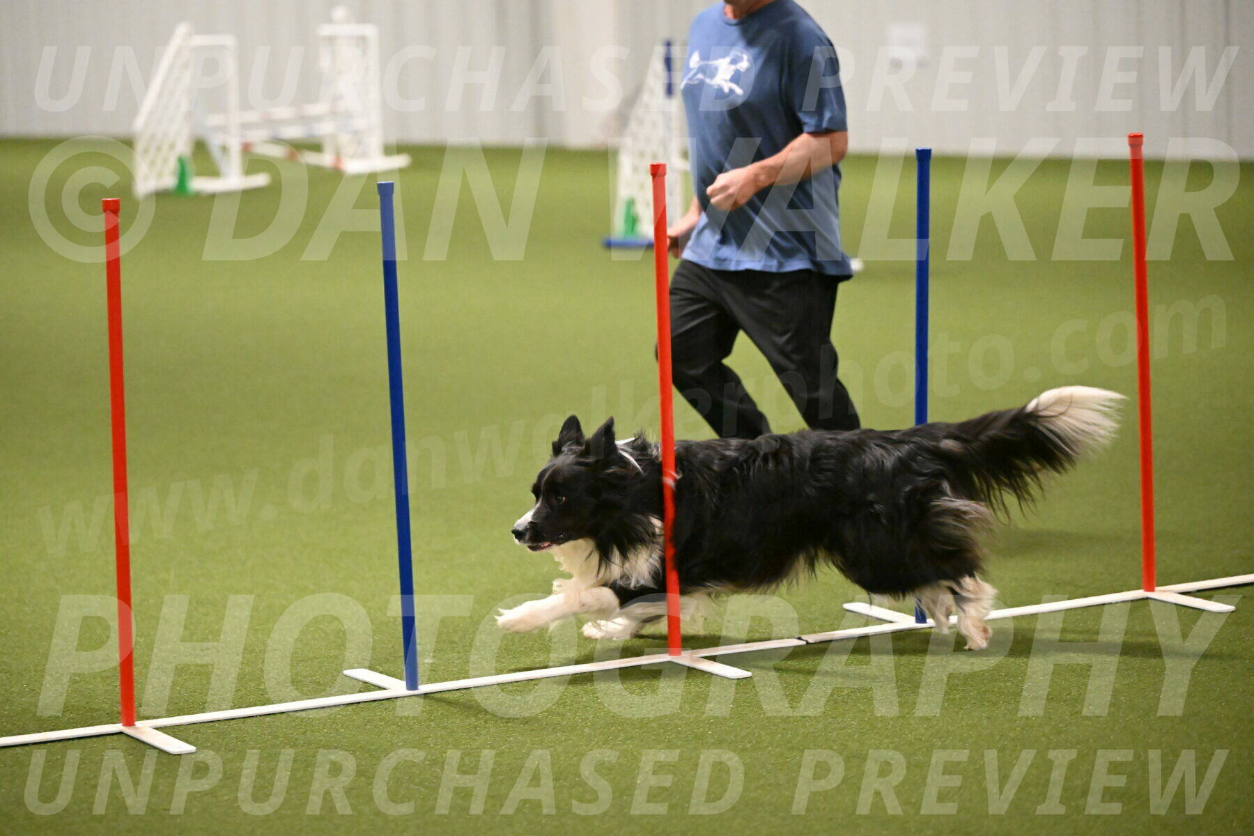 Frenzy-Robert-Rachow-10032