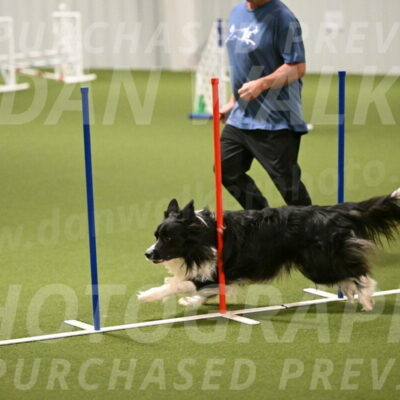 Frenzy-Robert-Rachow-10032