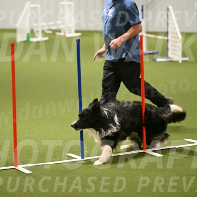 Frenzy-Robert-Rachow-10034