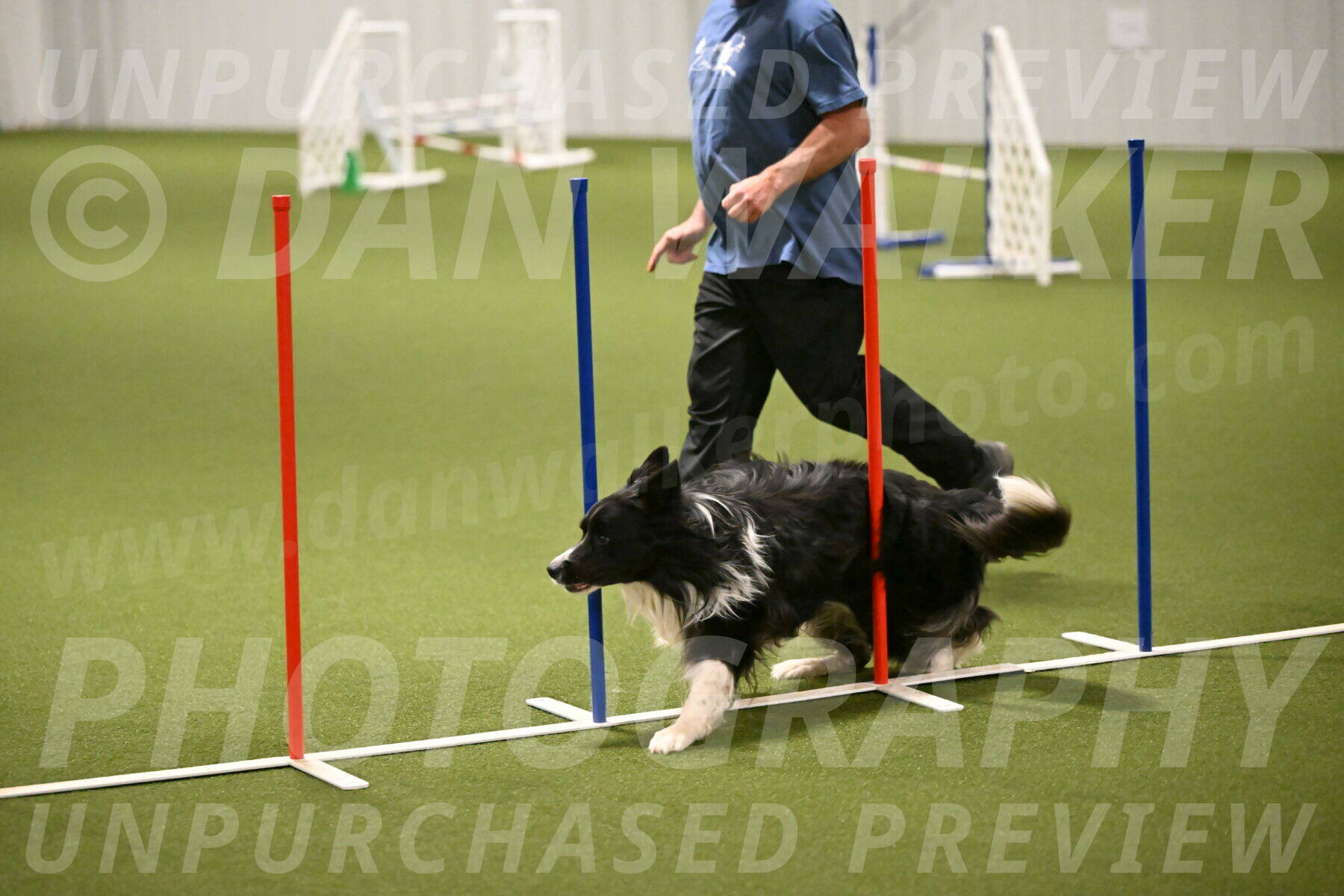 Frenzy-Robert-Rachow-10034