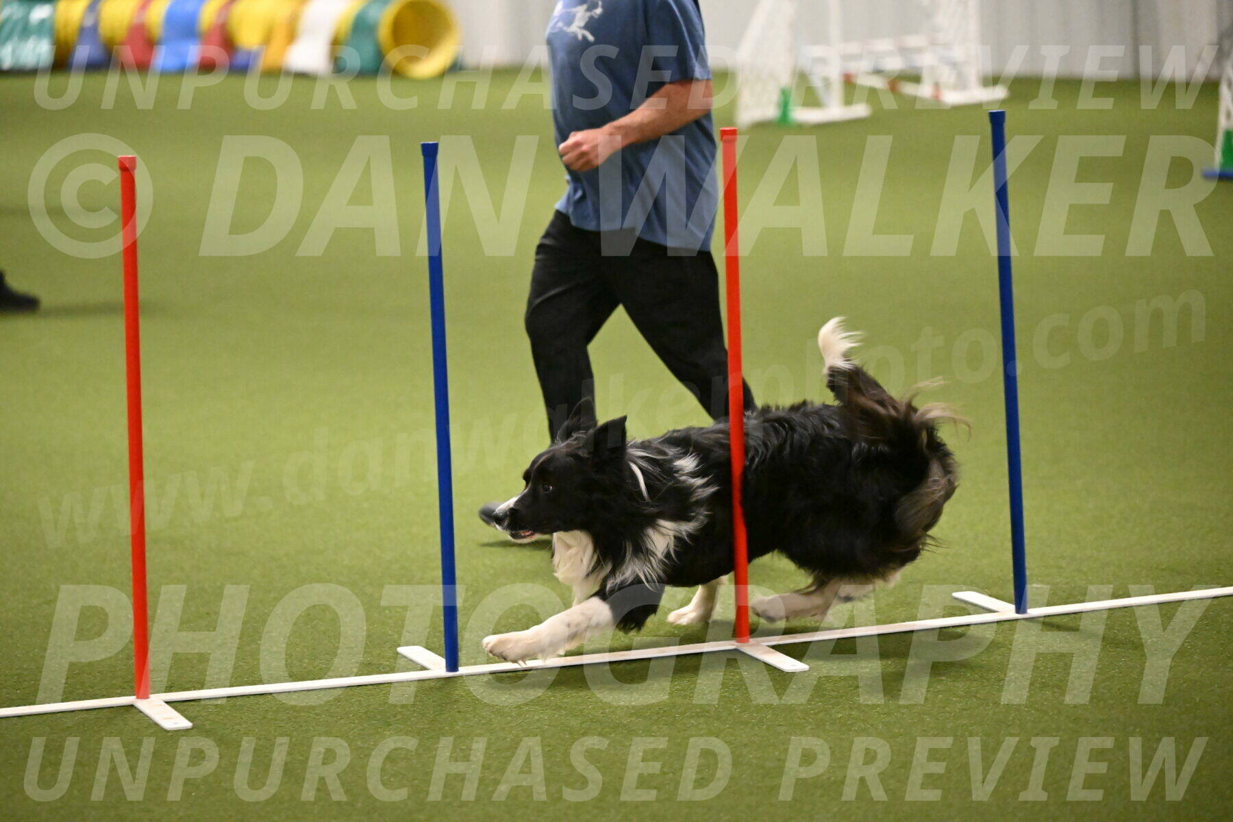 Frenzy-Robert-Rachow-10035