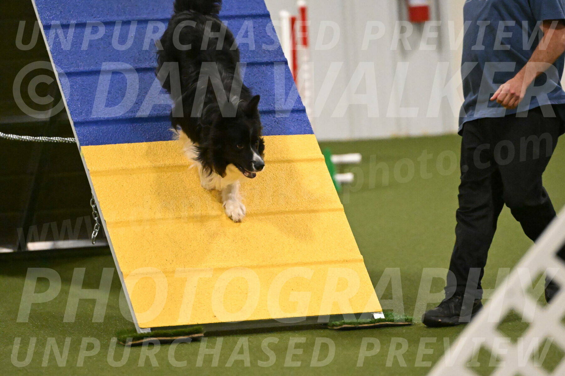 Frenzy-Robert-Rachow-10041