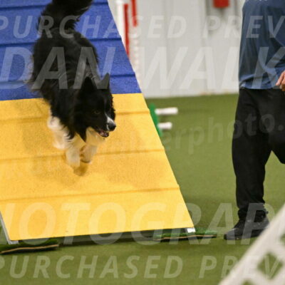 Frenzy-Robert-Rachow-10042