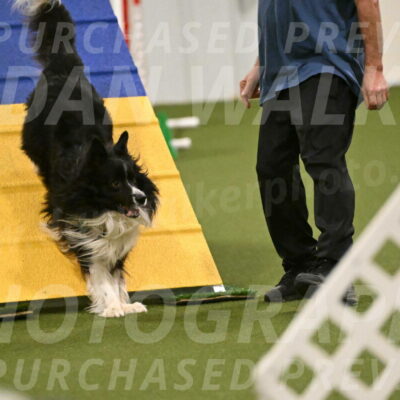 Frenzy-Robert-Rachow-10043