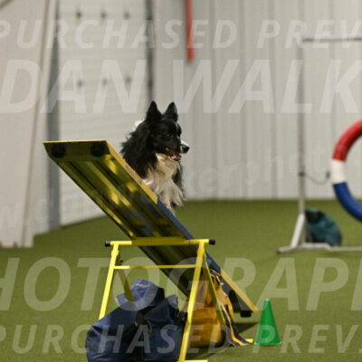 Frenzy-Robert-Rachow-10079