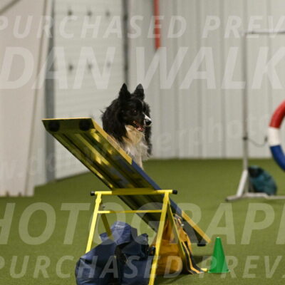 Frenzy-Robert-Rachow-10080