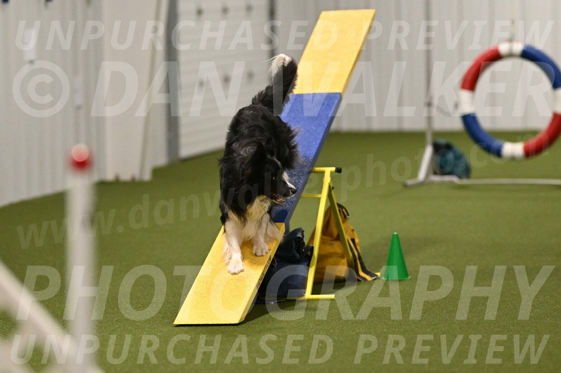 Frenzy-Robert-Rachow-10081