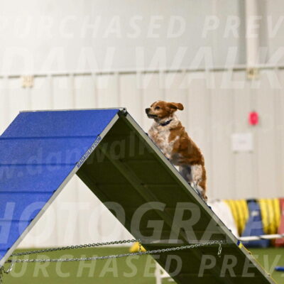 Gabby-Sheryl-Cramer-09390