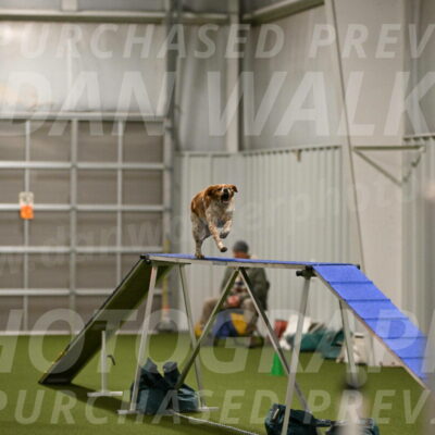 Gabby-Sheryl-Cramer-09417