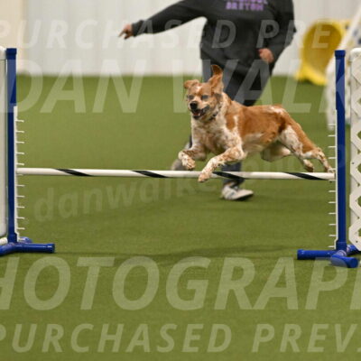 Gabby-Sheryl-Cramer-09428