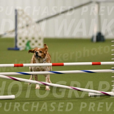 Gabby-Sheryl-Cramer-09440