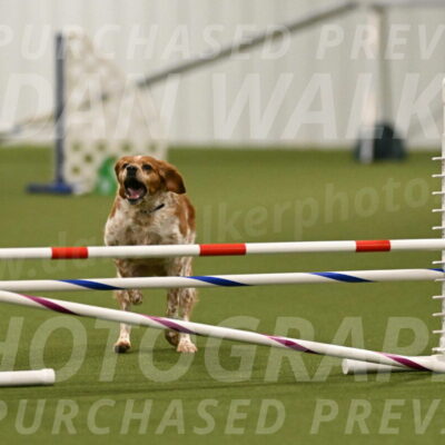Gabby-Sheryl-Cramer-09441