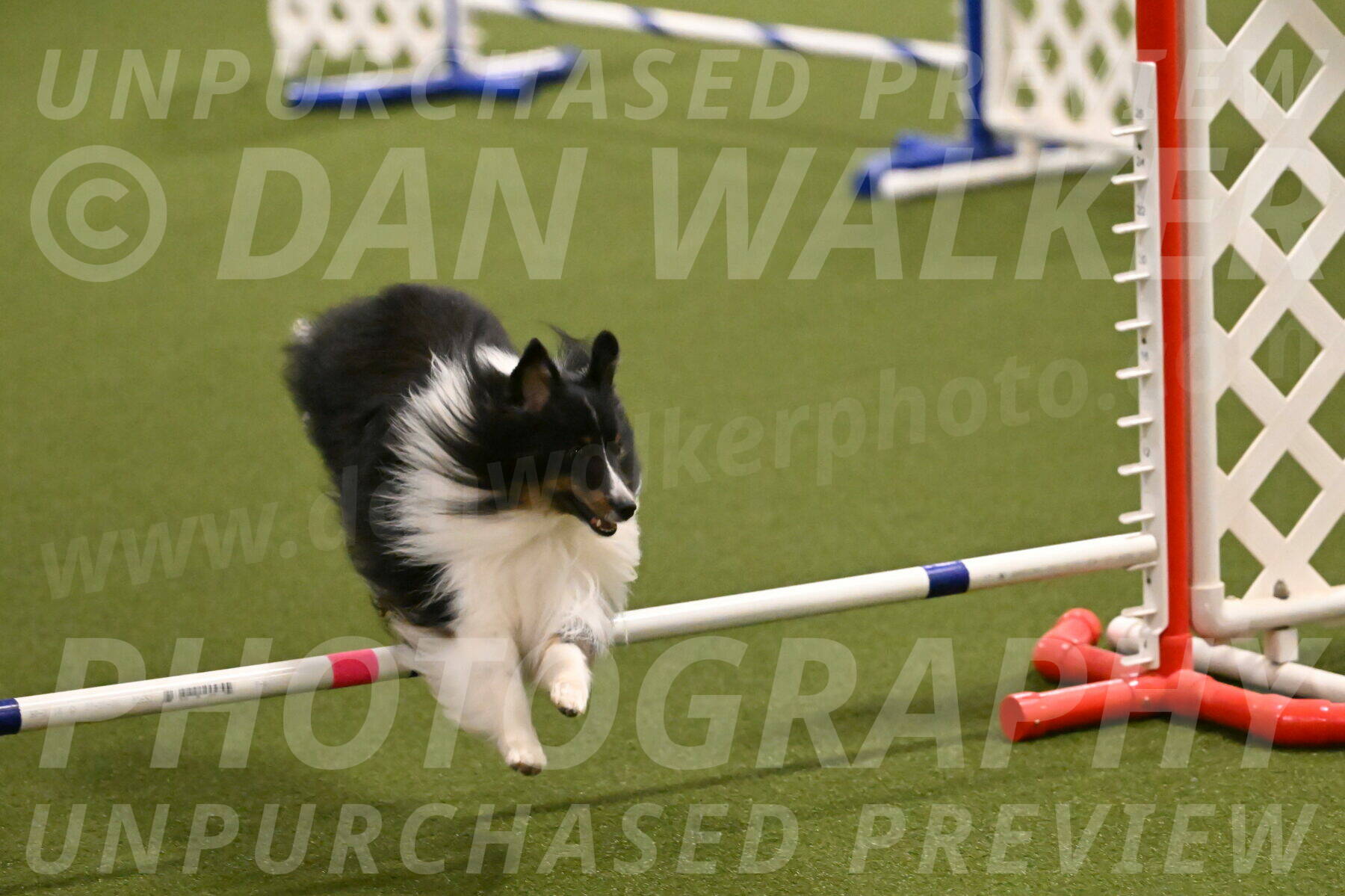 Gizmo-Kim-Finlayson-10730