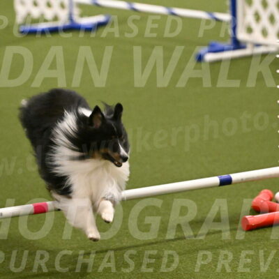 Gizmo-Kim-Finlayson-10730