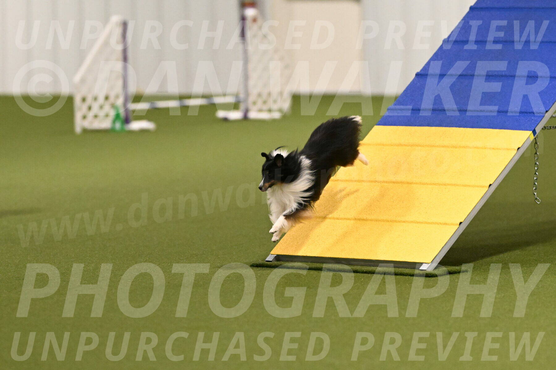 Gizmo-Kim-Finlayson-10731