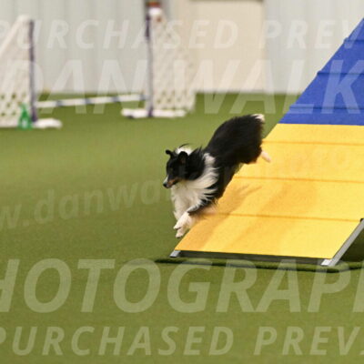 Gizmo-Kim-Finlayson-10731