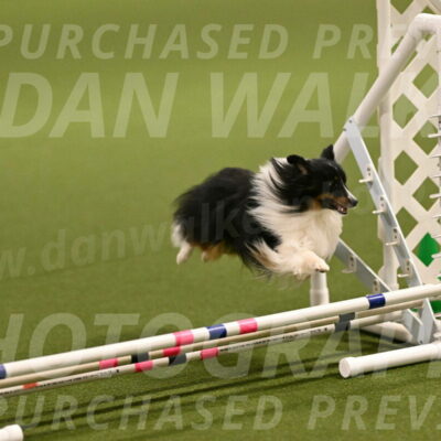 Gizmo-Kim-Finlayson-10732