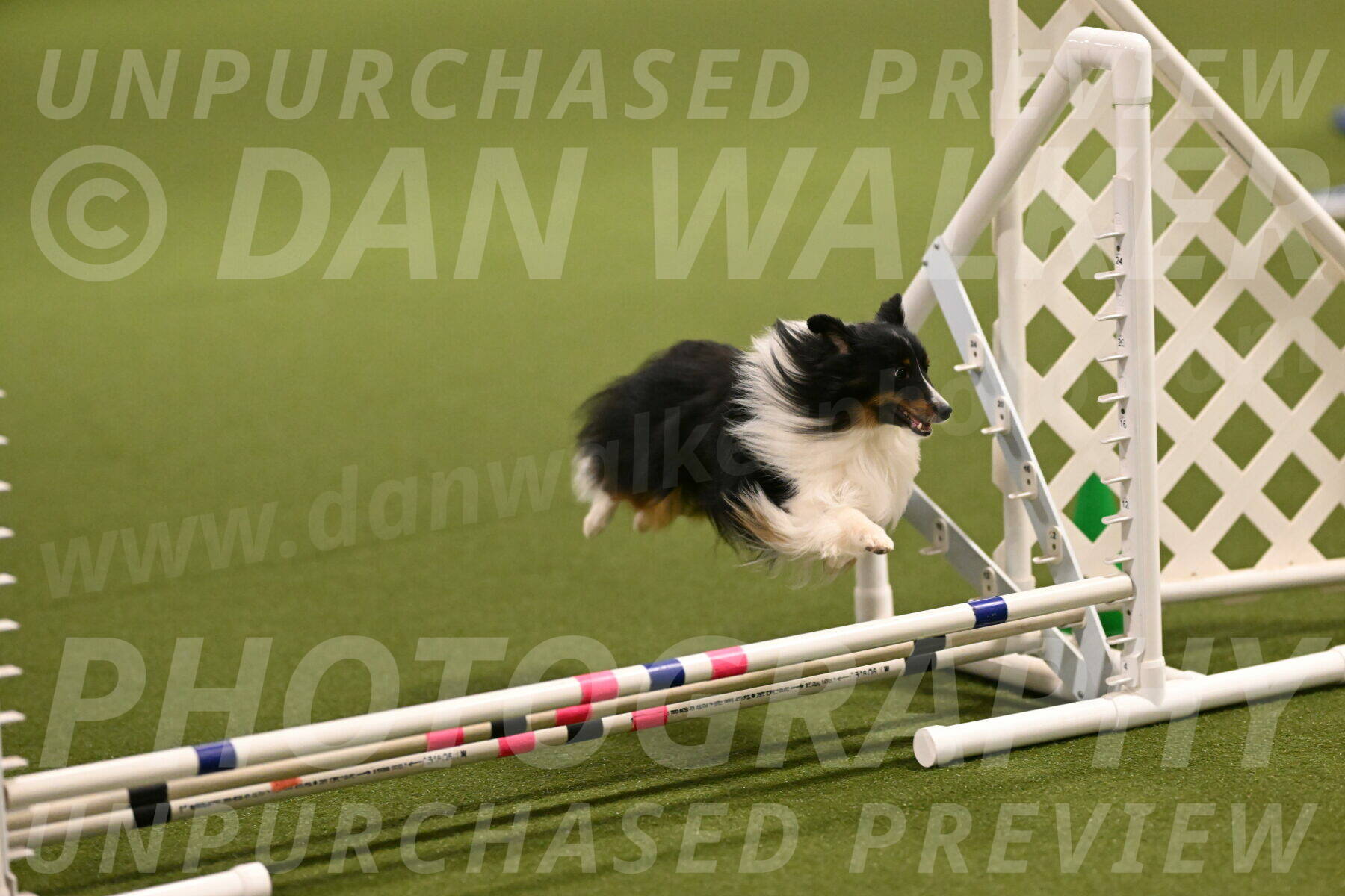 Gizmo-Kim-Finlayson-10732