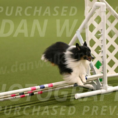 Gizmo-Kim-Finlayson-10733