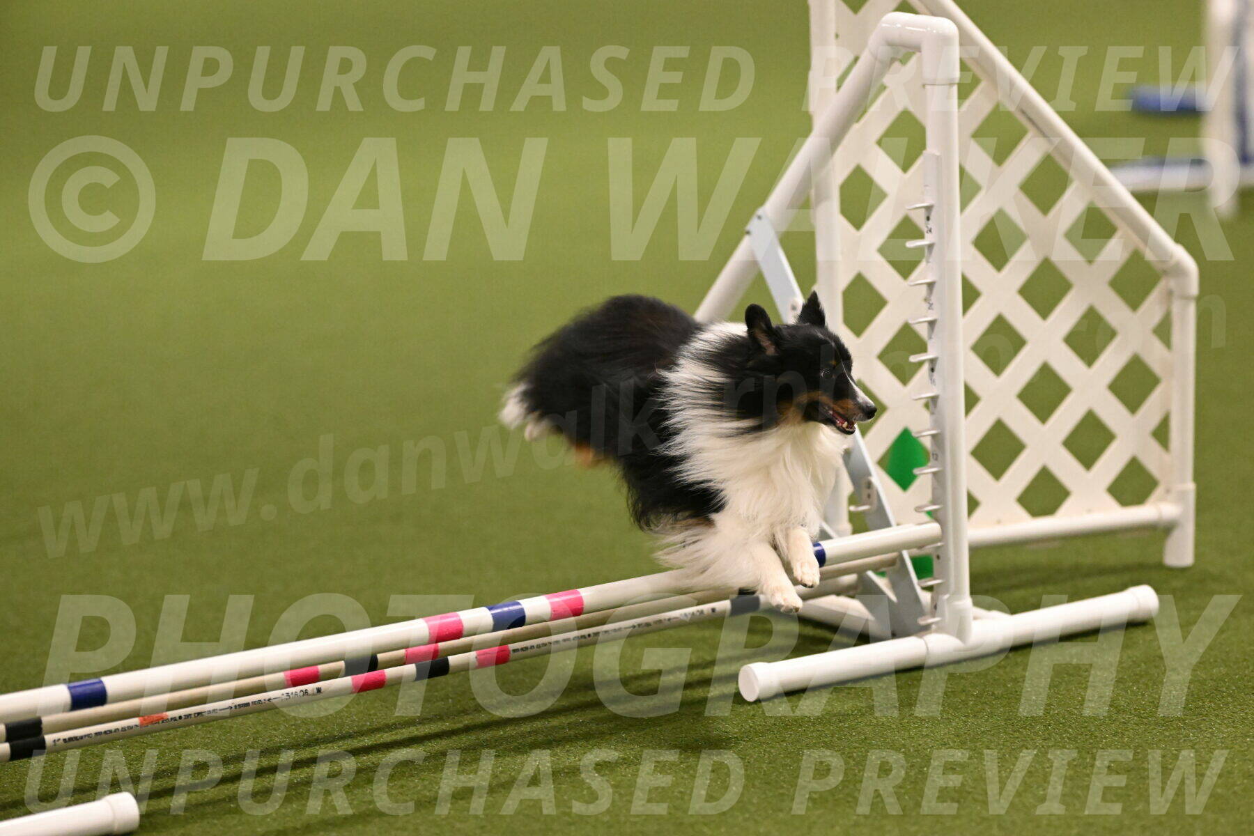 Gizmo-Kim-Finlayson-10733