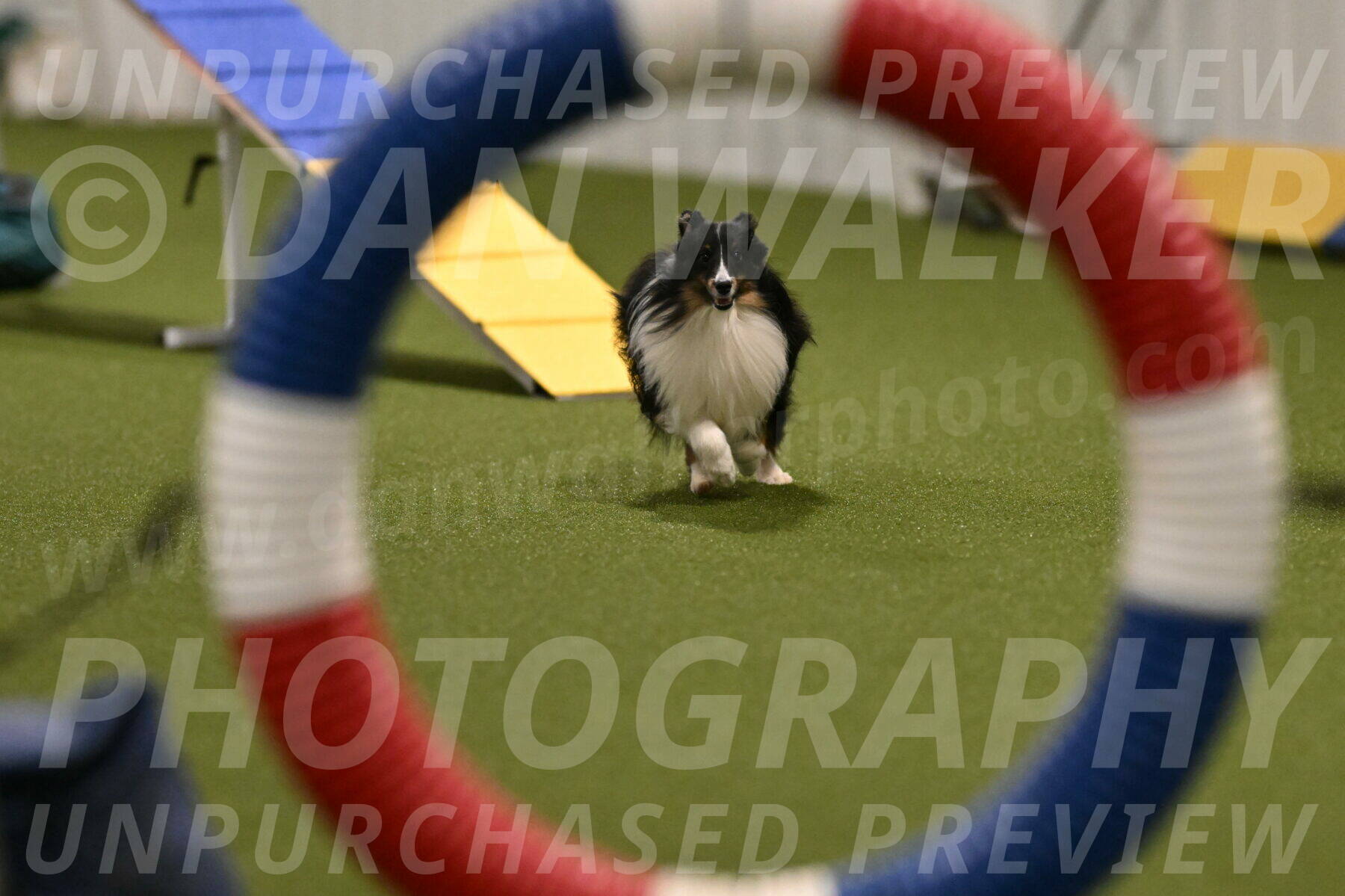 Gizmo-Kim-Finlayson-10734