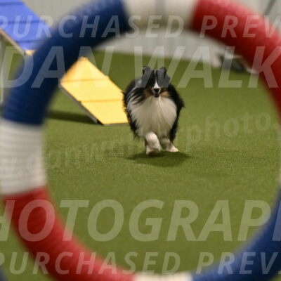 Gizmo-Kim-Finlayson-10734