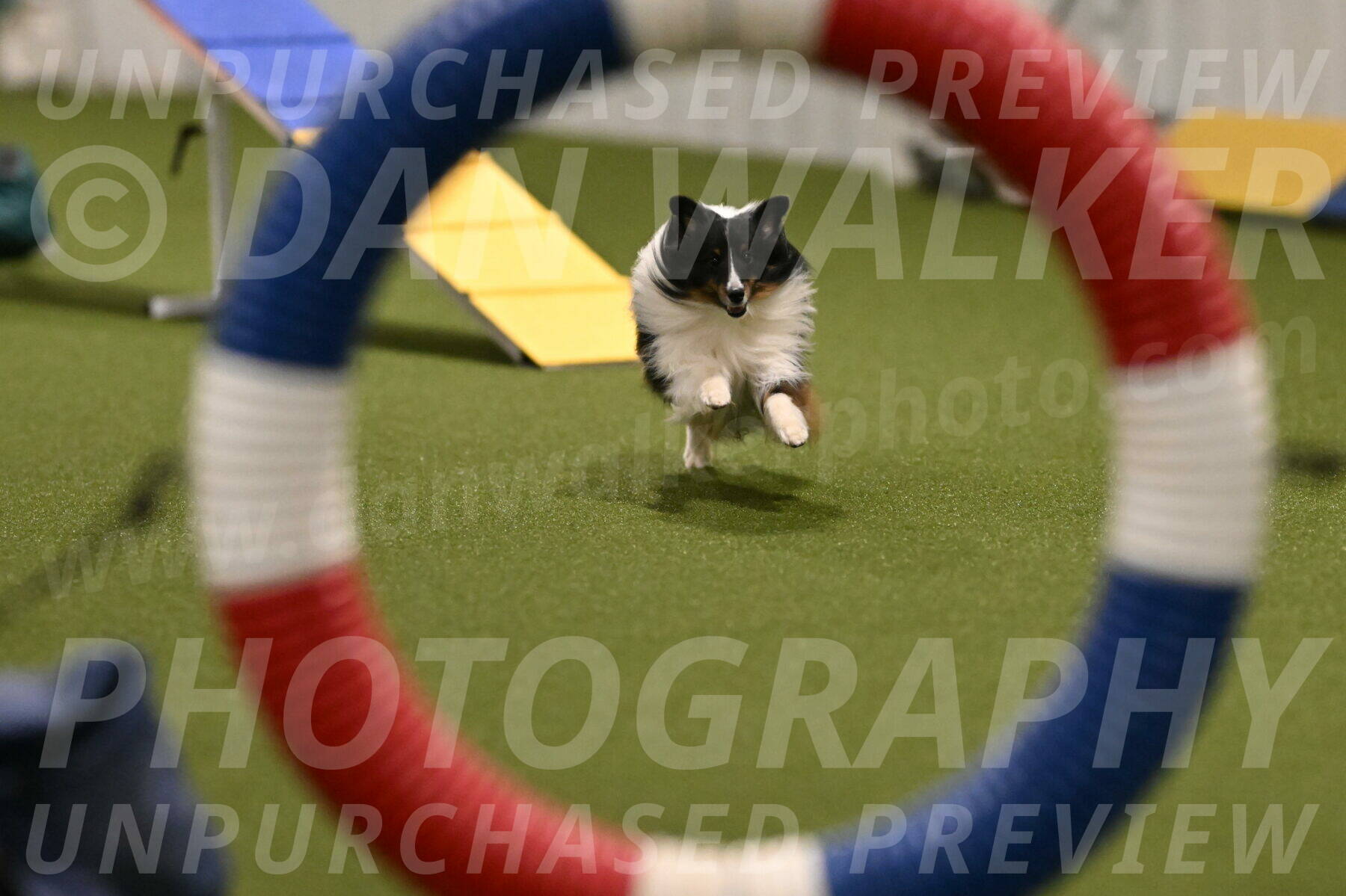 Gizmo-Kim-Finlayson-10735