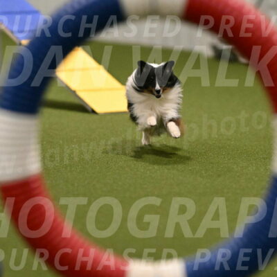 Gizmo-Kim-Finlayson-10735