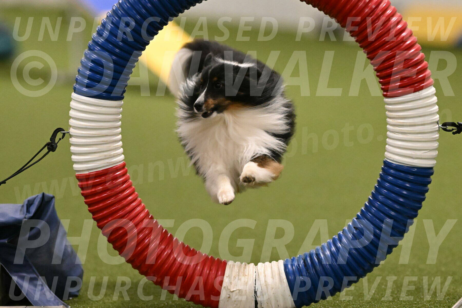 Gizmo-Kim-Finlayson-10736