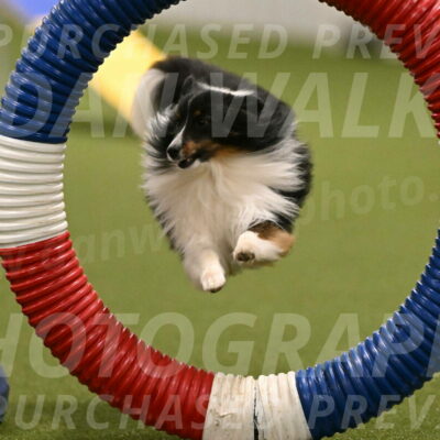 Gizmo-Kim-Finlayson-10736