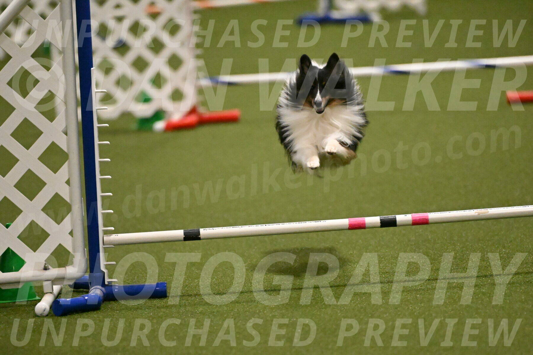 Gizmo-Kim-Finlayson-10737