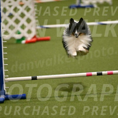 Gizmo-Kim-Finlayson-10737