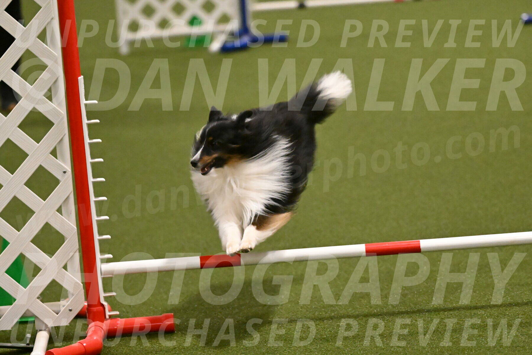 Gizmo-Kim-Finlayson-10738