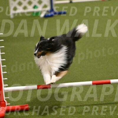 Gizmo-Kim-Finlayson-10738