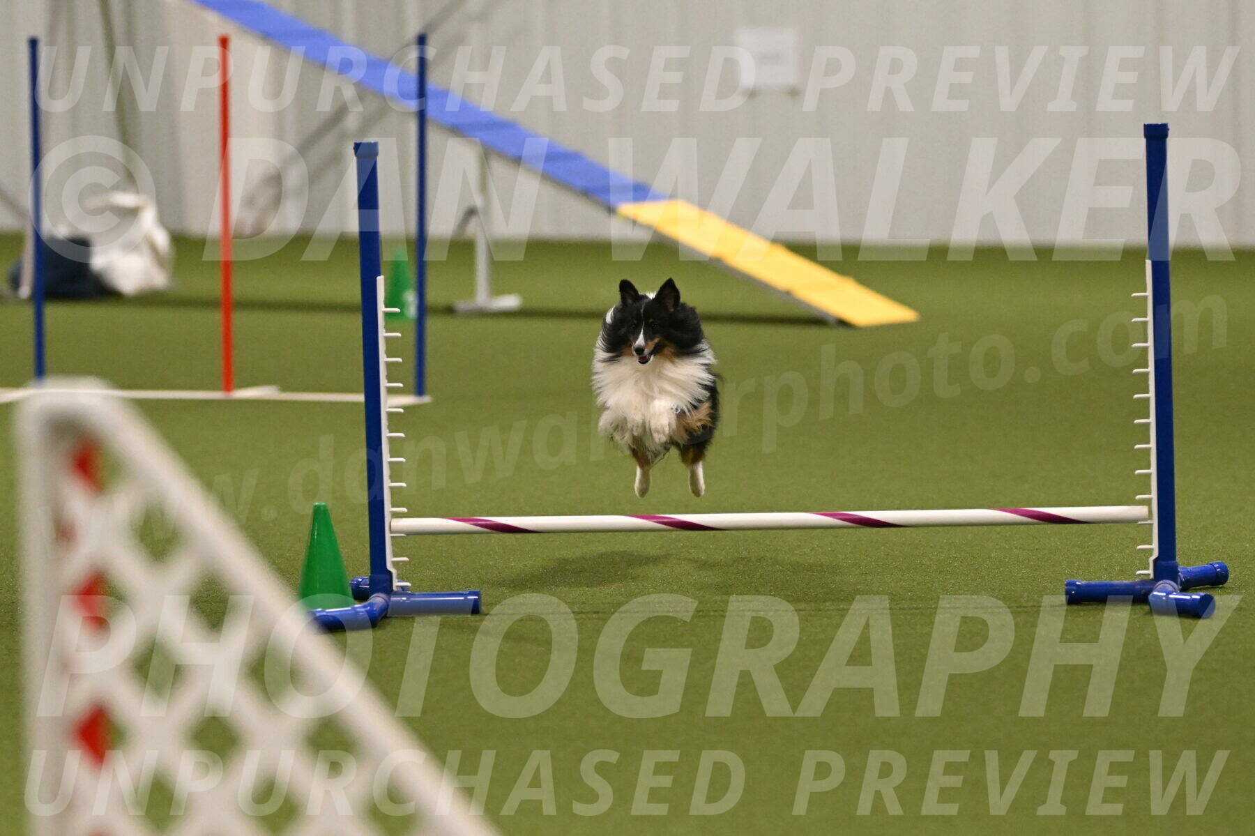 Gizmo-Kim-Finlayson-10739