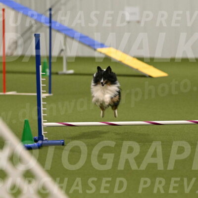 Gizmo-Kim-Finlayson-10739