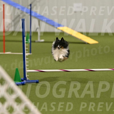 Gizmo-Kim-Finlayson-10740