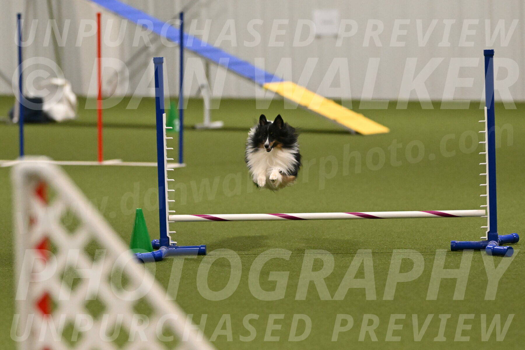 Gizmo-Kim-Finlayson-10740