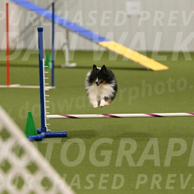 Gizmo-Kim-Finlayson-10741